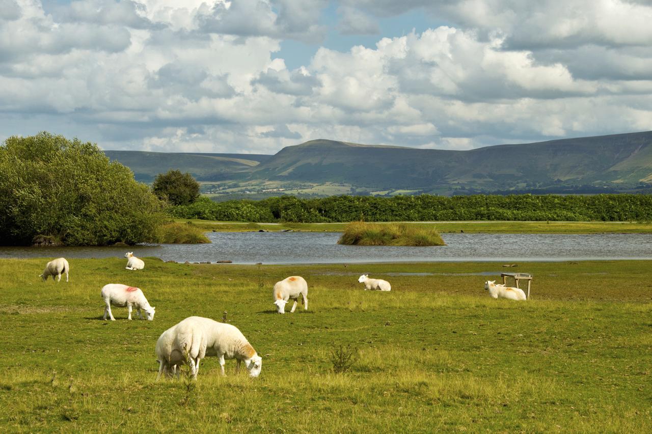 Bed and Breakfast Brynderwen Llangorse Esterno foto
